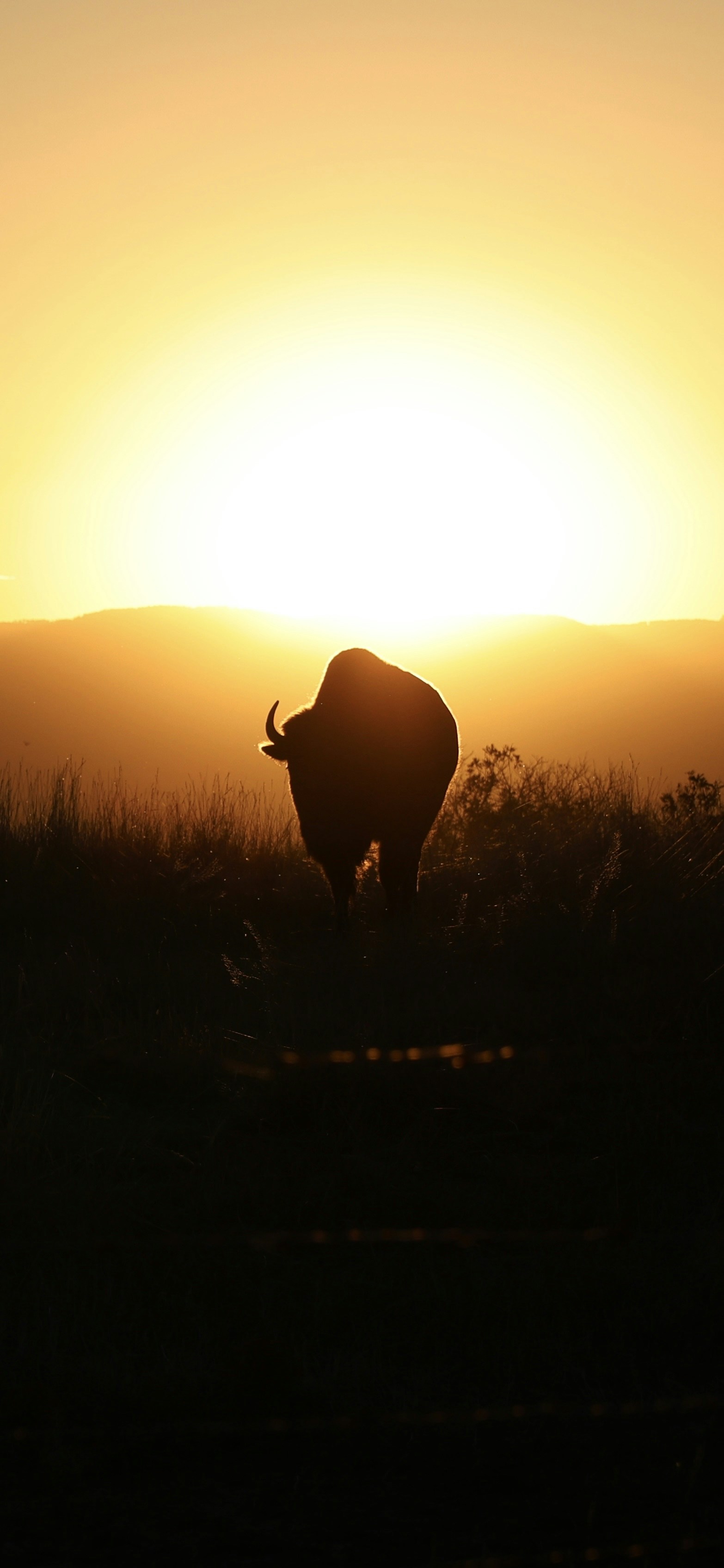 Photo by jakegriesemer