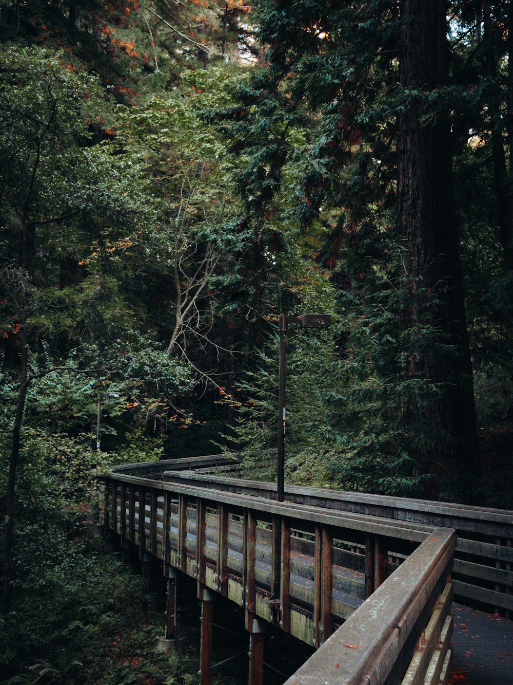 a wooden bridge in the middle of a forest