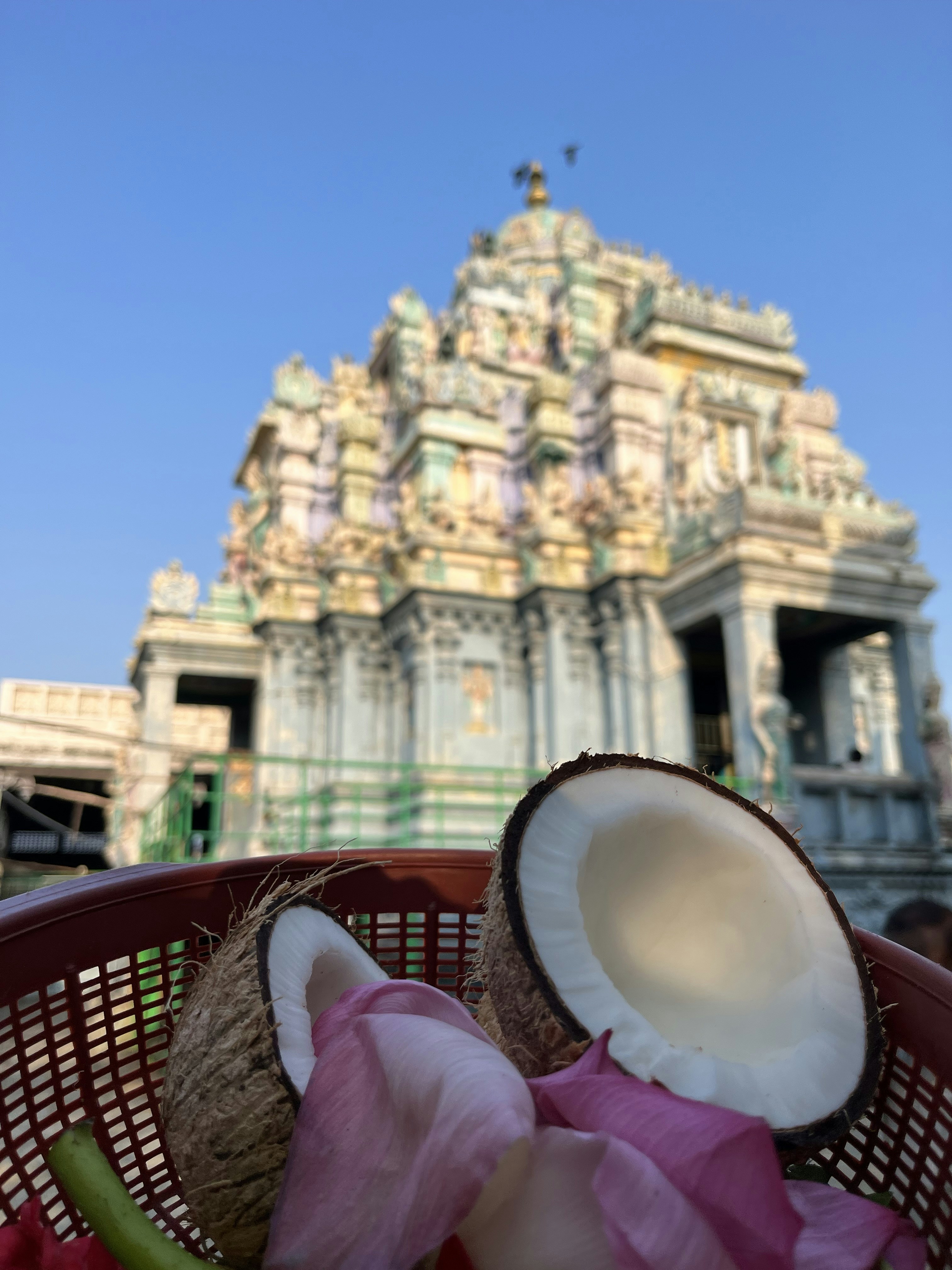 a basket filled with coconuts next to a building