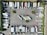 An aerial view of a parking lot filled with trucks and trailers arranged in rows. The vehicles are organized in a systematic manner, with some smaller cars and trailers mixed in. Trees and small green spaces are distributed throughout the area, providing some greenery amid the concrete.