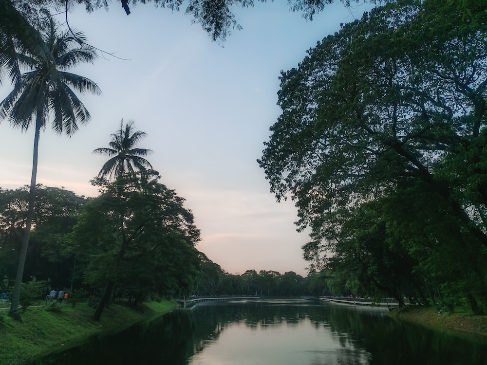 a body of water surrounded by trees and grass