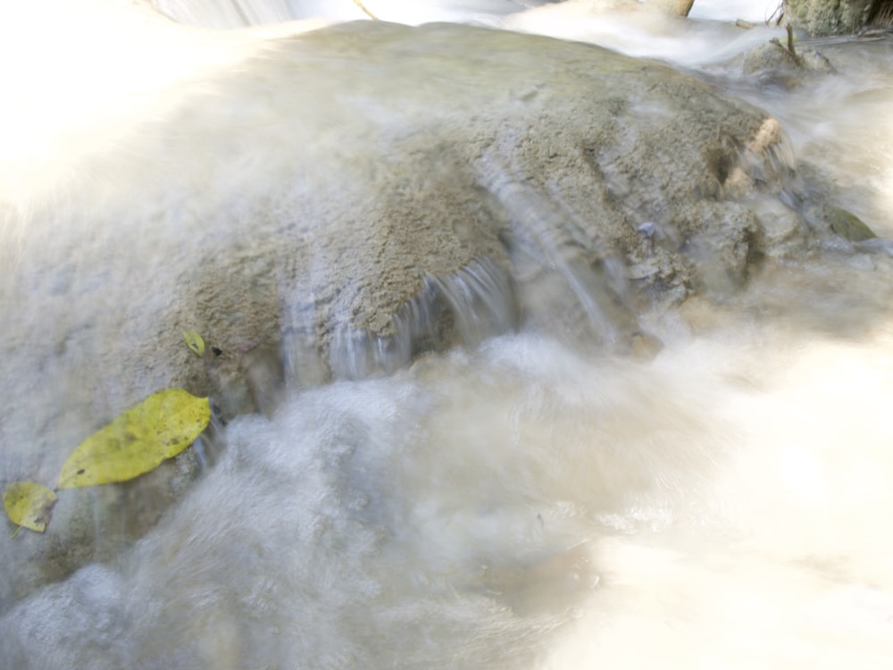 a stream of water with a leaf floating on top of it