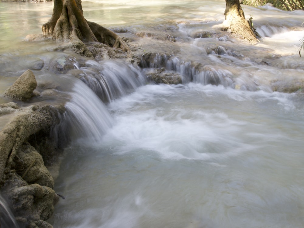 a small waterfall running through a forest filled with trees