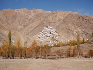 A monastery is nestled against a rugged, brown mountain backdrop under a clear blue sky. Tall trees with autumn foliage surround the base of the mountain, adding shades of yellow and orange to the scenery.