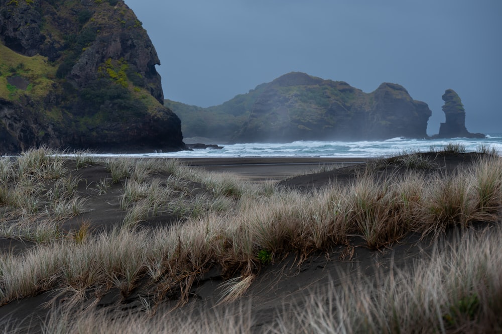 ein Sandstrand mit hohem Gras und Felsen im Hintergrund