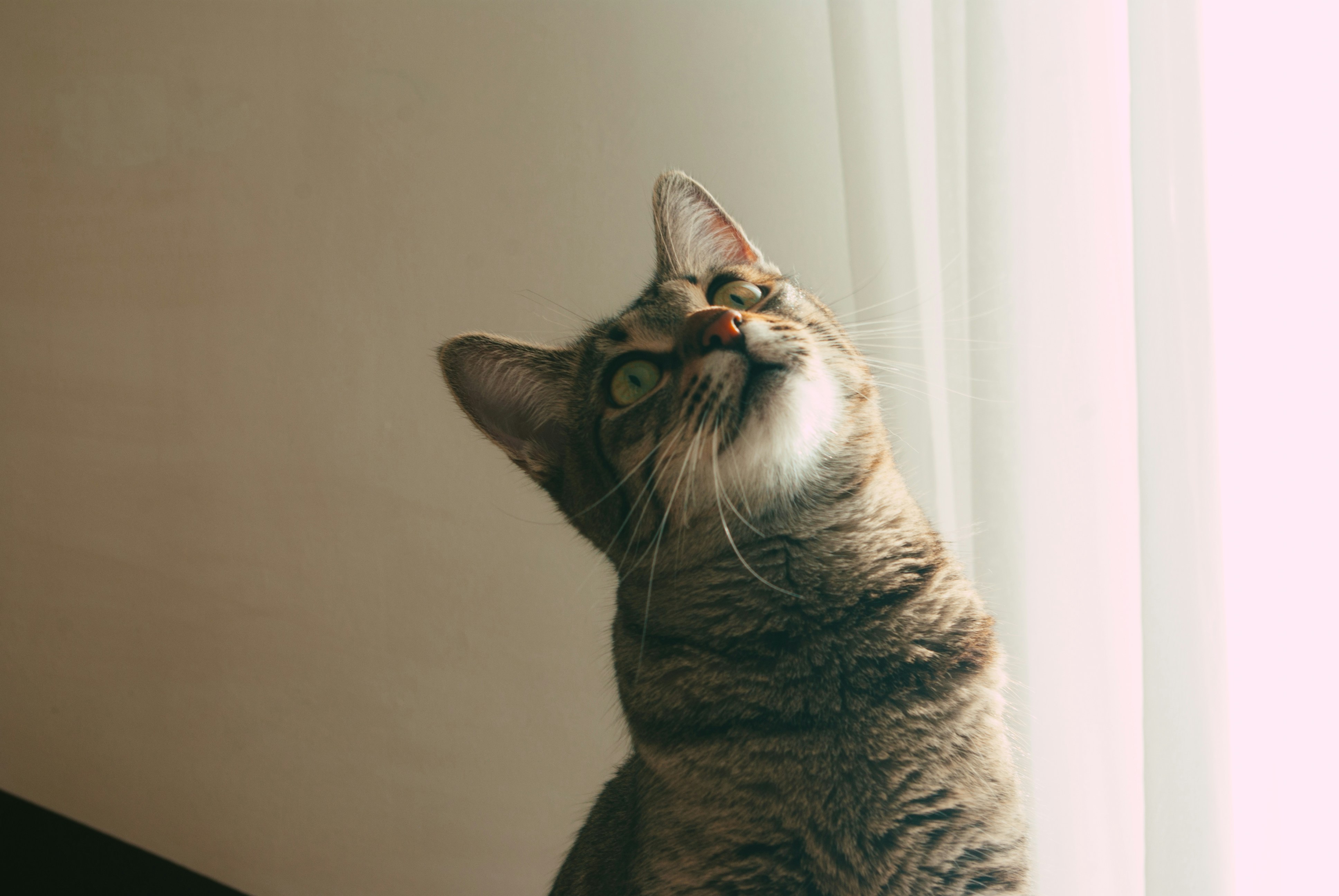 Photo by moonmoons_days