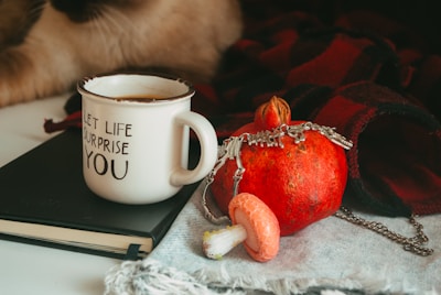 A cozy arrangement featuring a white mug with the phrase 'Let life surprise you', a red pomegranate adorned with a silver chain, and a small pink mushroom. These items rest on a black notebook and a fringed cloth, with a warm red and black plaid blanket in the background. There are hints of a cat's paw in the corner.