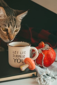 Cat Lover's Mug