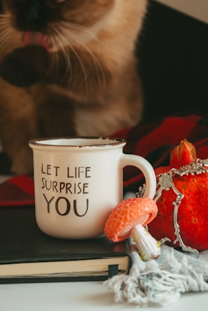 A cozy scene featuring a cream-colored mug with the words 'Let life surprise you' written on it. The mug is placed on a book alongside a small orange mushroom and a decorative pumpkin with a silver crown. In the background, part of a cat can be seen grooming itself, adding a warm and relaxing touch.