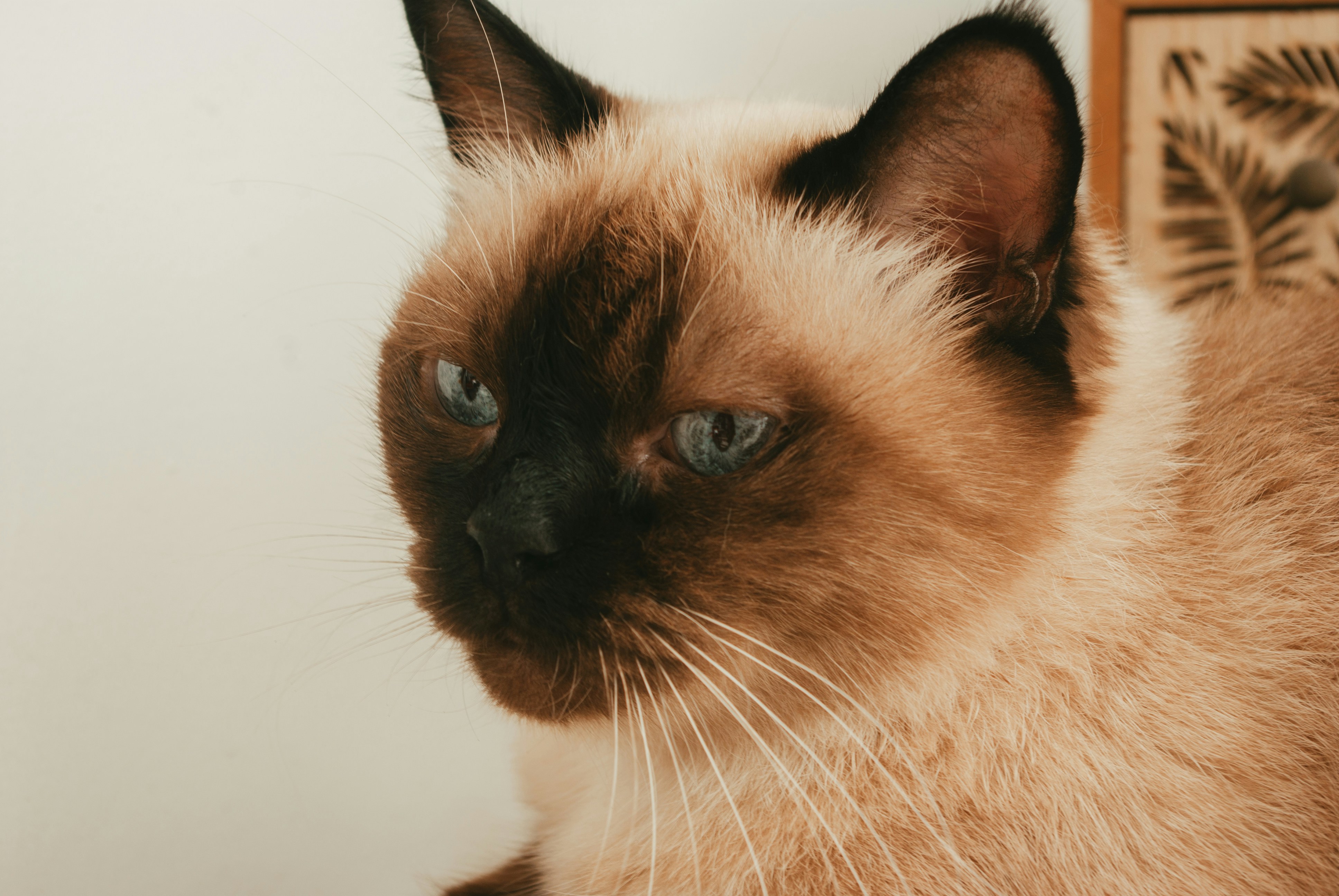 Photo by moonmoons_days