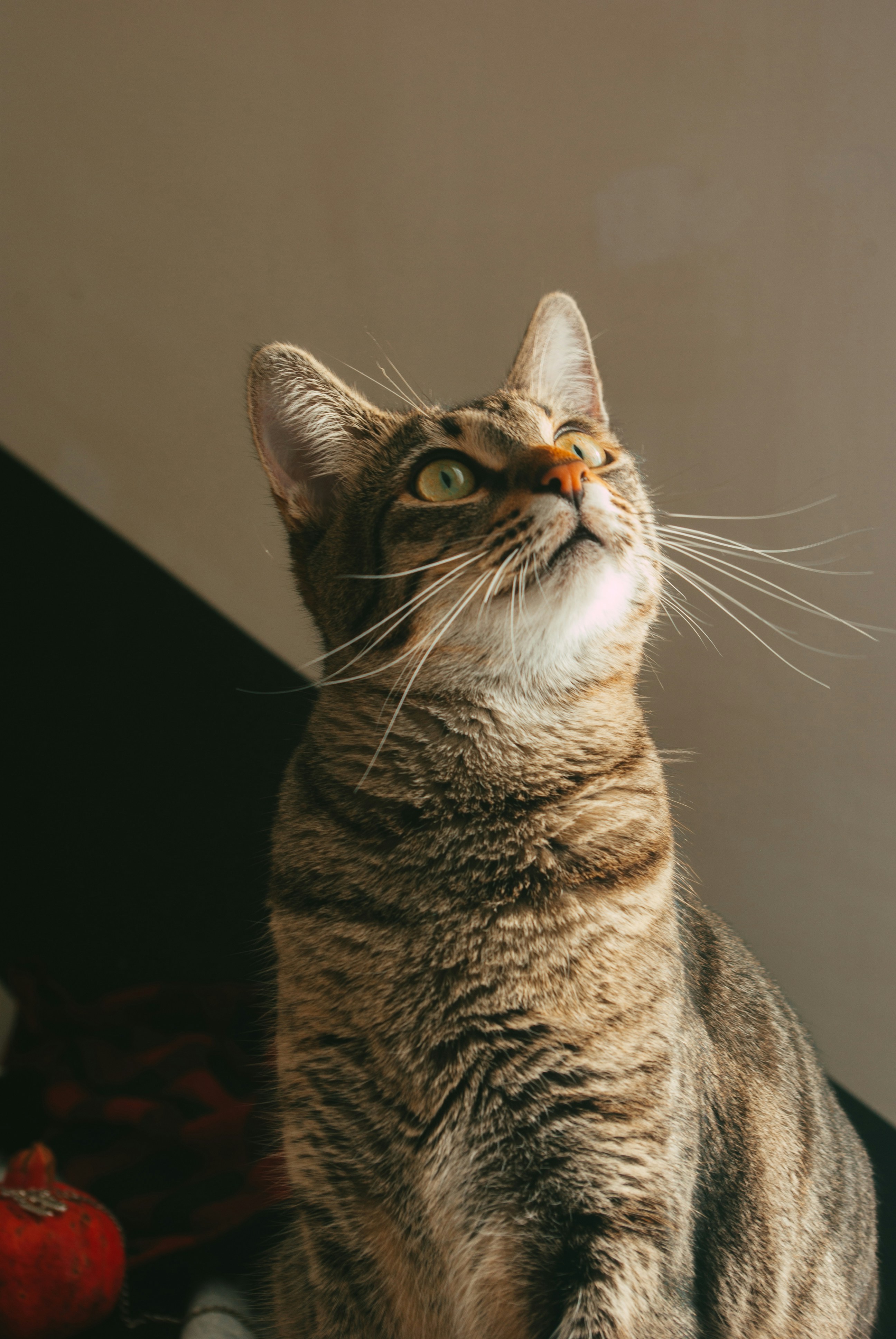 Photo by moonmoons_days