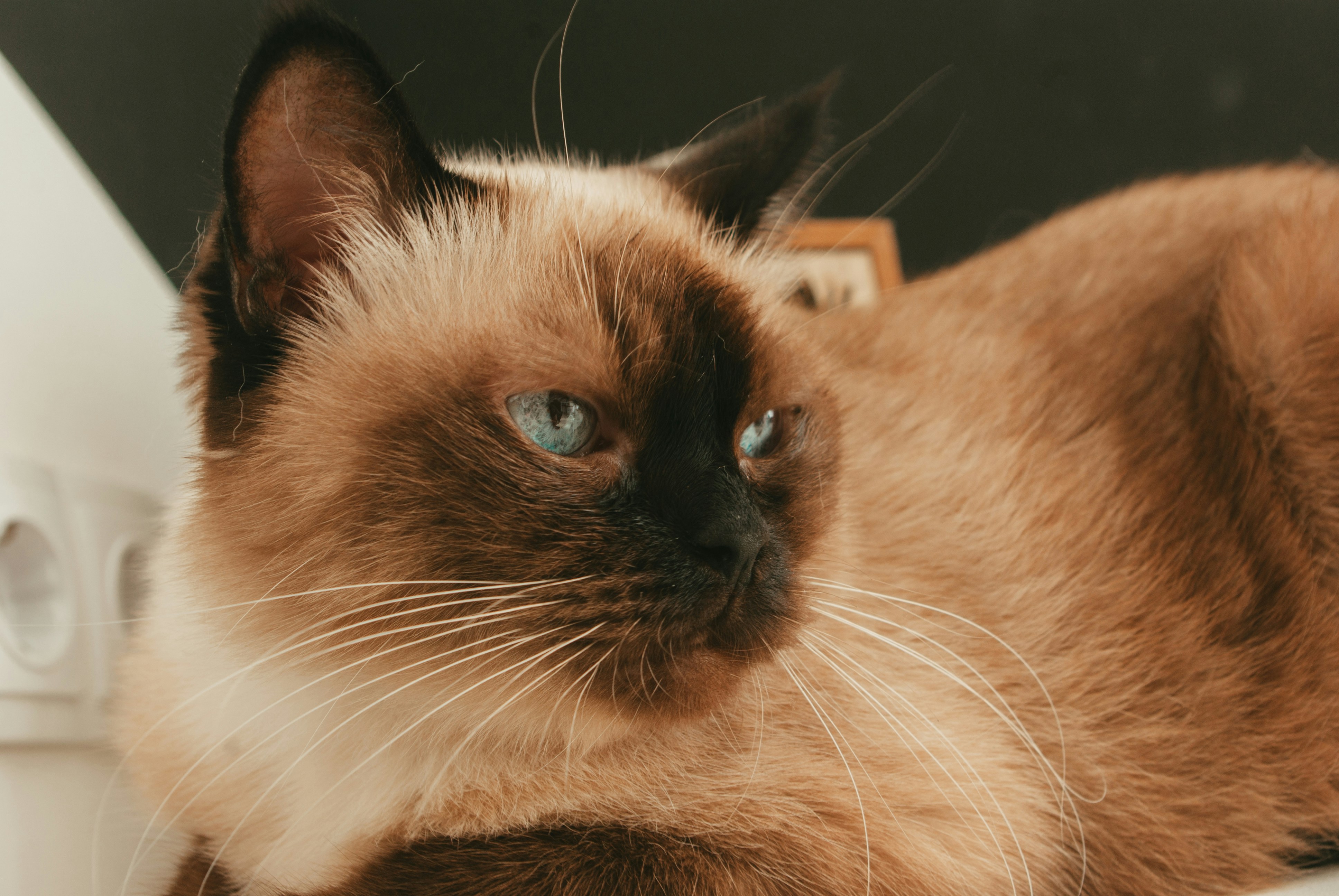 Photo by moonmoons_days