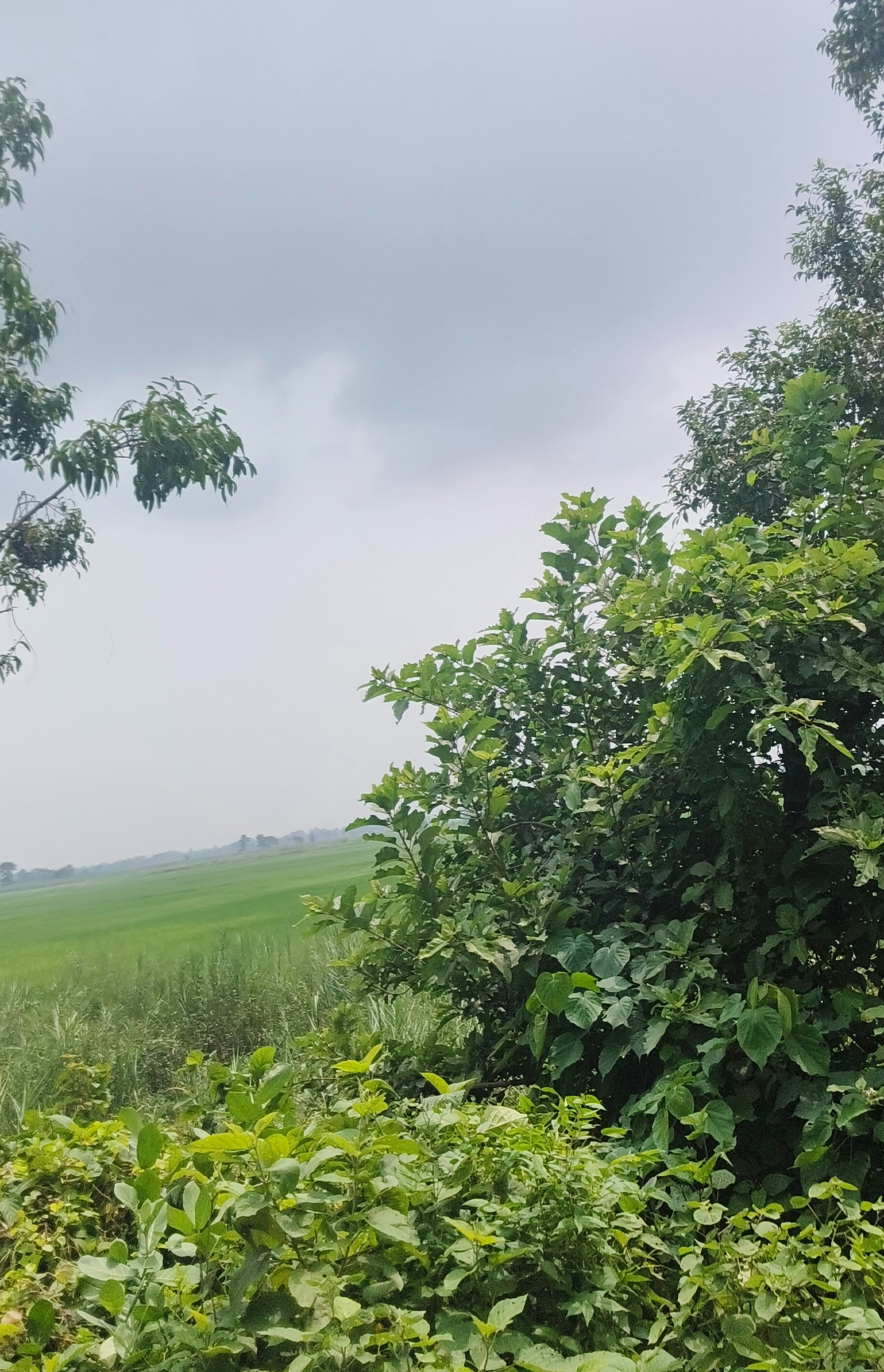 Photo by anilgstudio