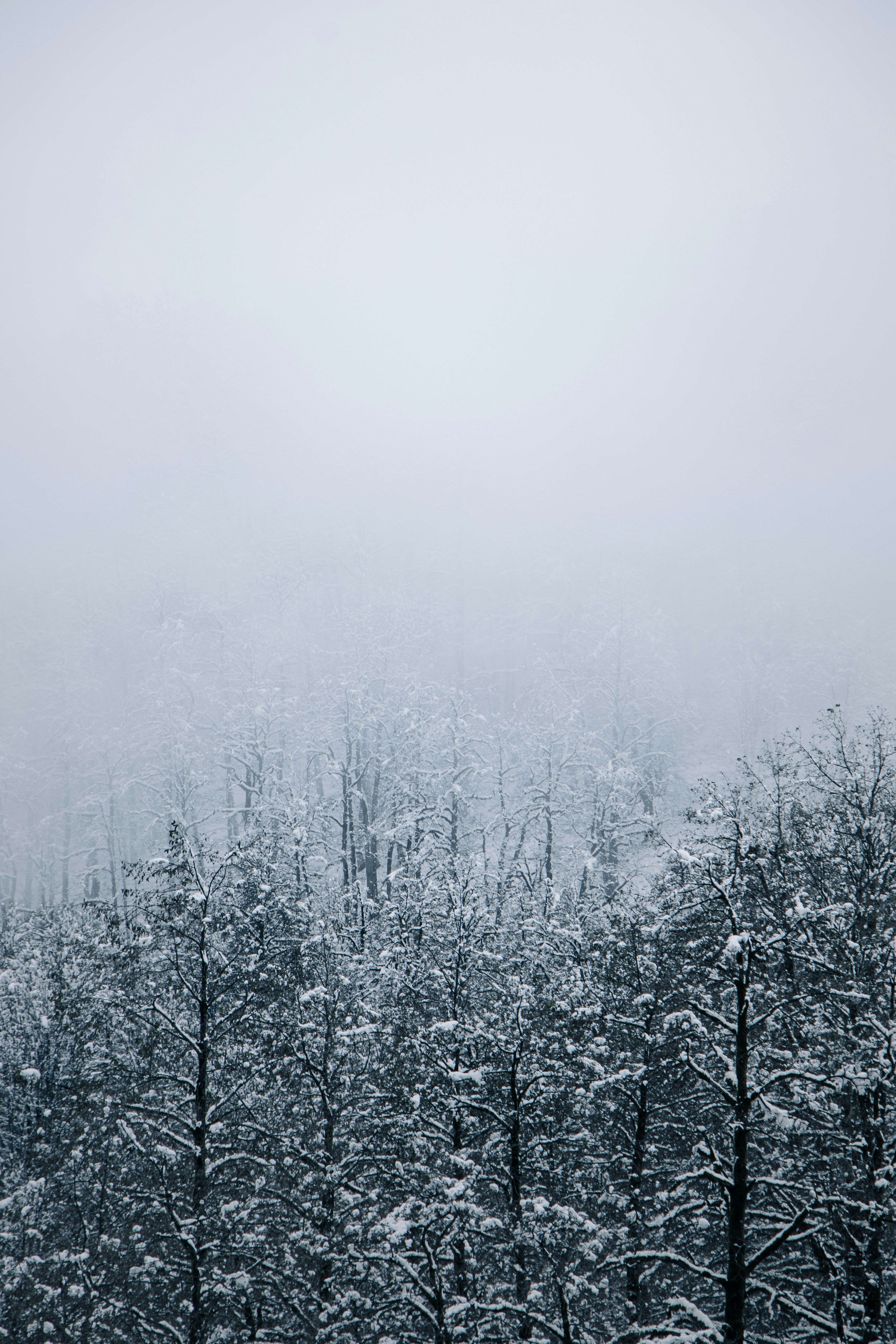 Photo by mahdibafande