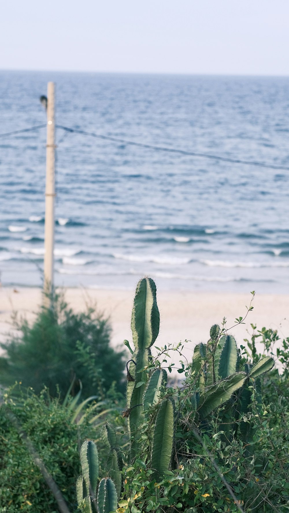 a view of a beach with a body of water in the background