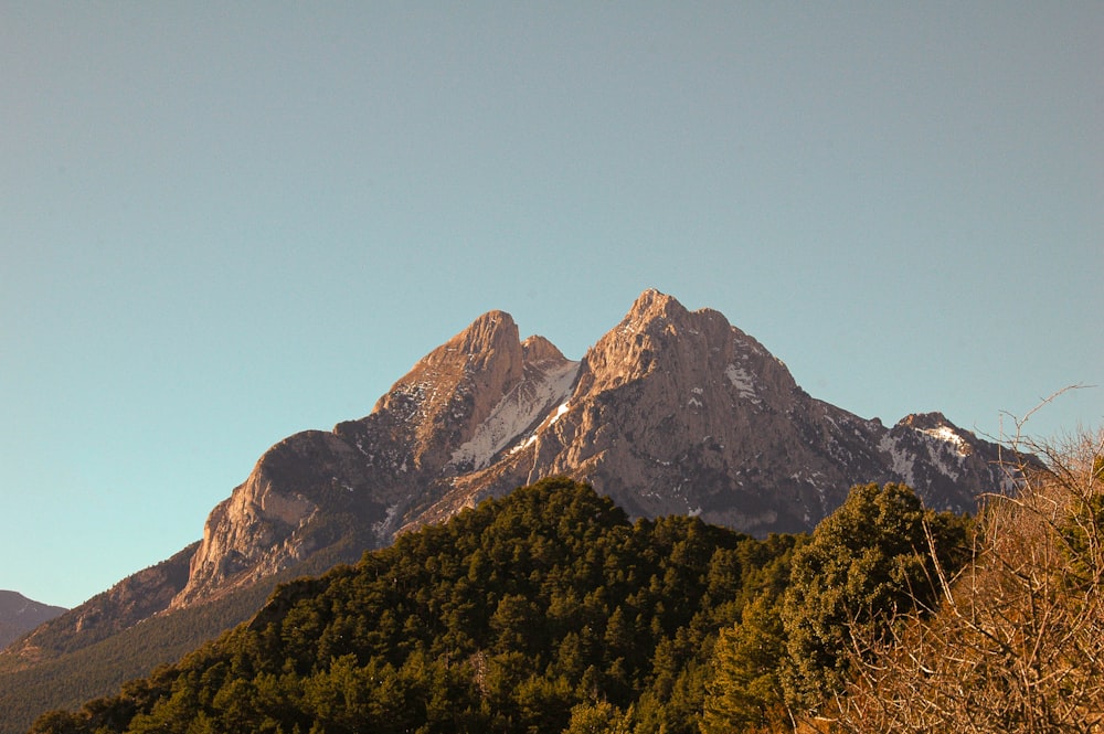 a view of a mountain range with trees in the foreground