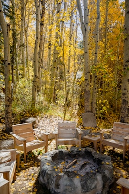 A serene forest setting with tall trees and golden autumn leaves, surrounding a stone fire pit. Several wooden chairs are arranged in a circle around the fire pit, suggesting a cozy gathering spot.