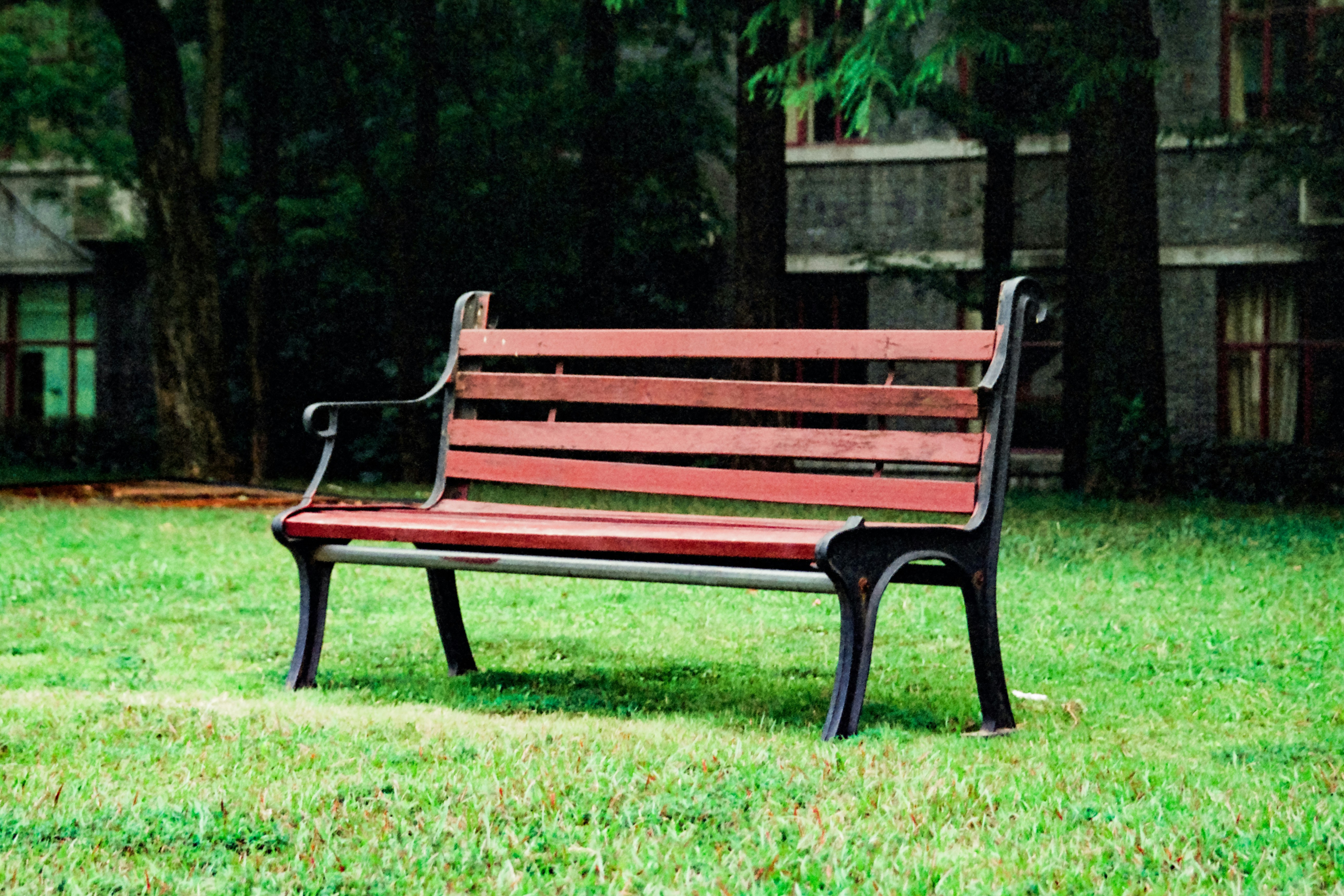 Photo by kevinwang413156