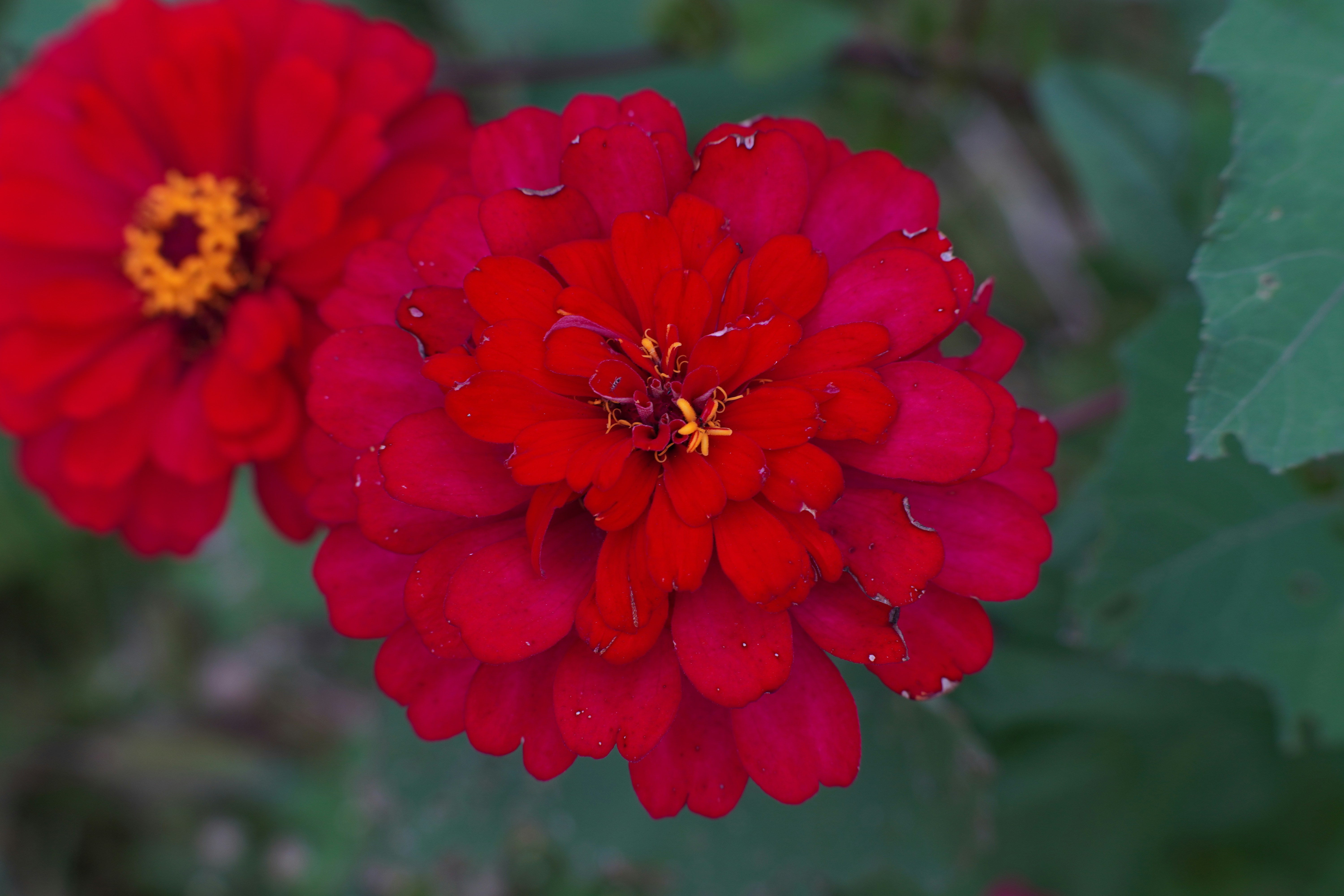 Photo by mrfattiger