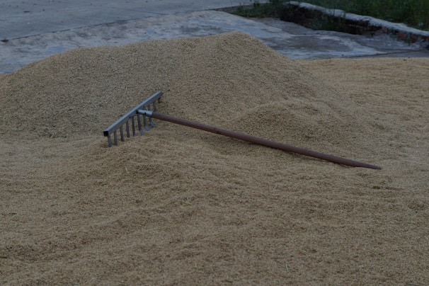 A large pile of grain or harvested crops is spread out on the ground, with a metal rake resting on top. The area appears to be outdoors, possibly a farm or storage site, with concrete ground surrounding the crops.