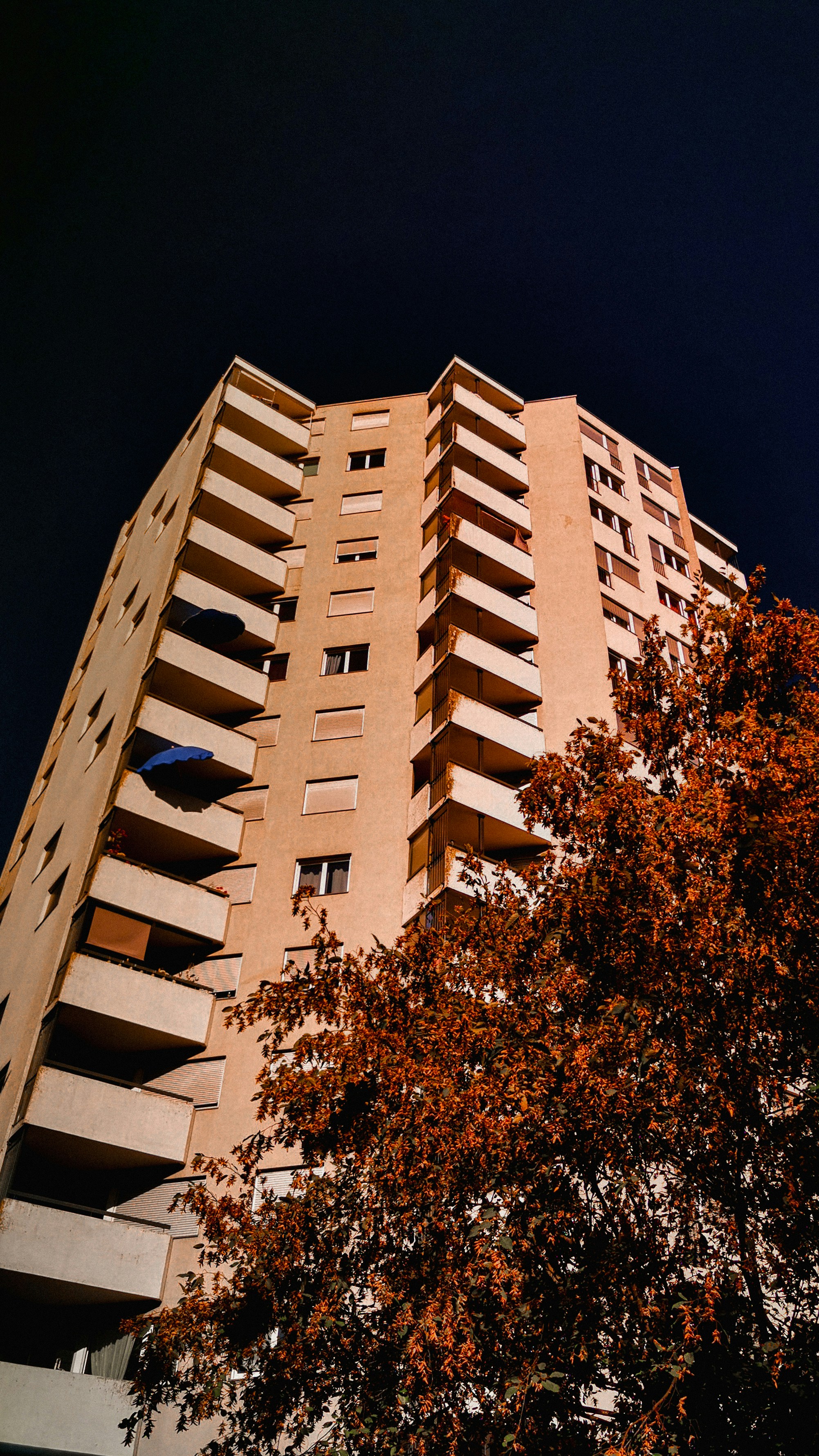 Photo by miguel_ind0