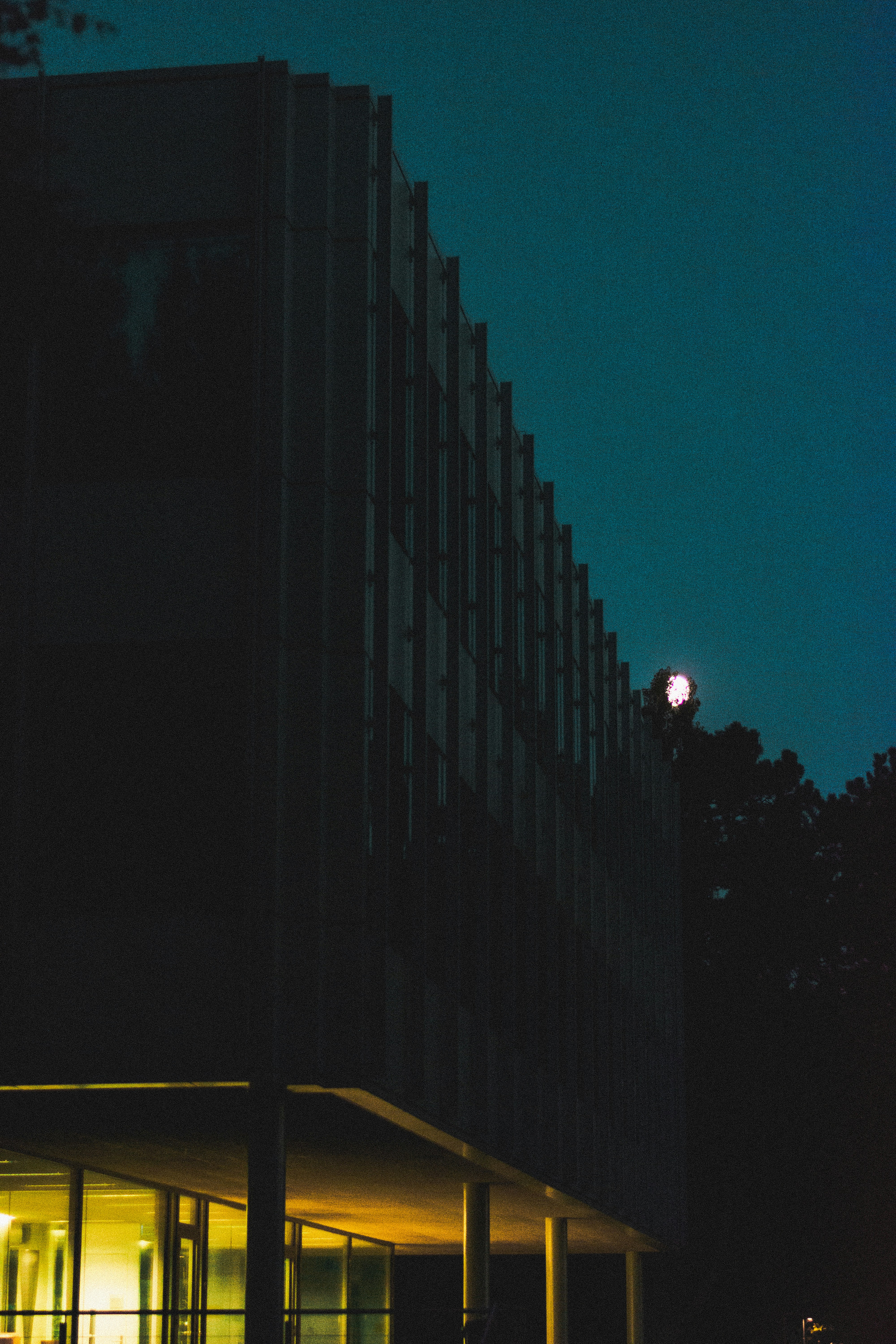 Photo by miguel_ind0