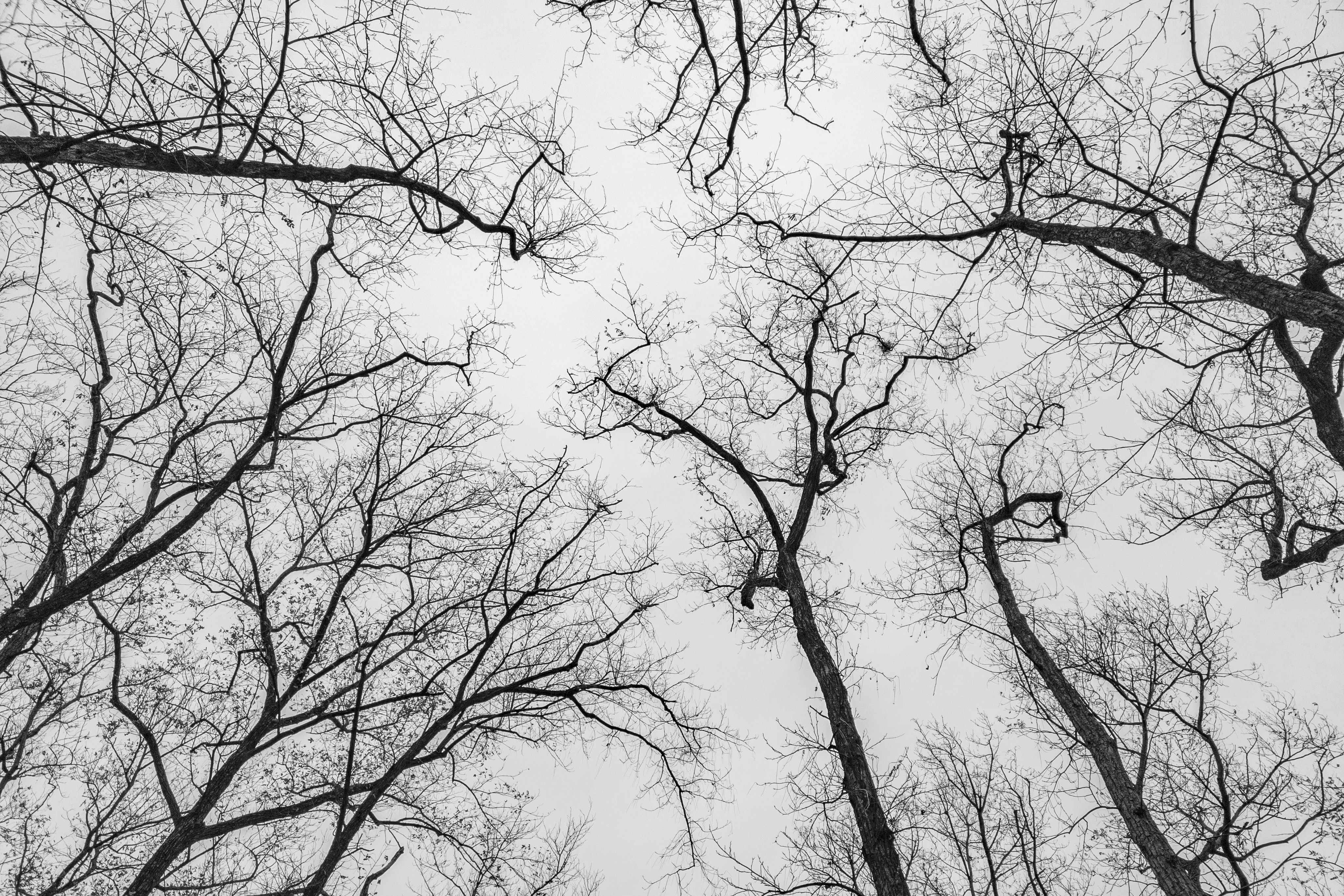 Photo by kevinwang413156