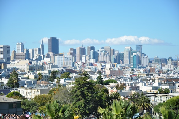 A vibrant cityscape featuring a diverse array of skyscrapers under a clear blue sky. In the foreground, leafy palm trees and residential buildings are visible, creating a contrast with the urban skyline.