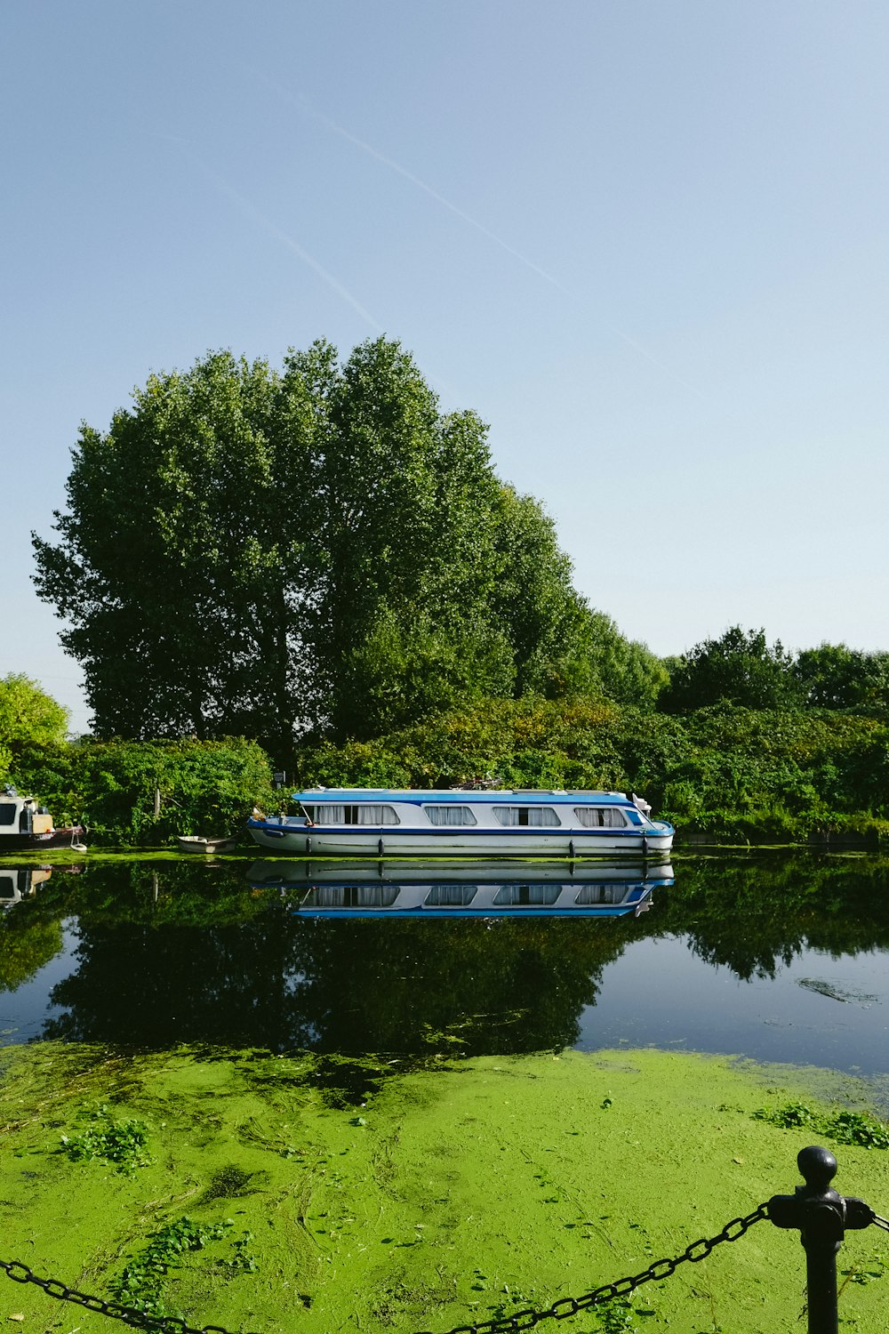 a boat floating on top of a lake covered in green algae