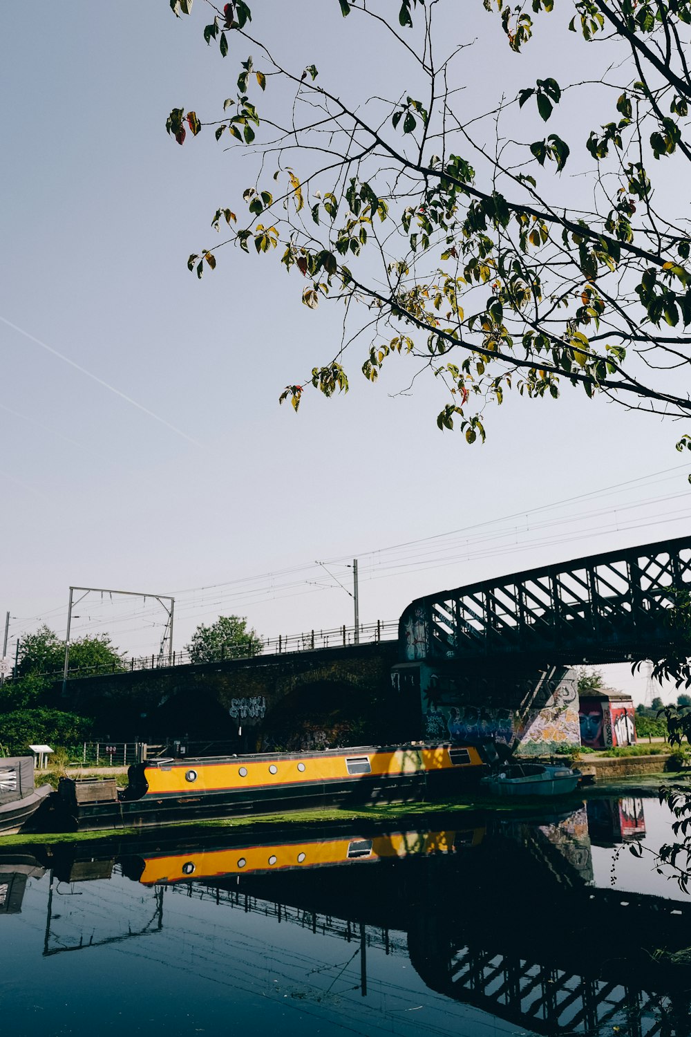 a bridge over a body of water next to a tree