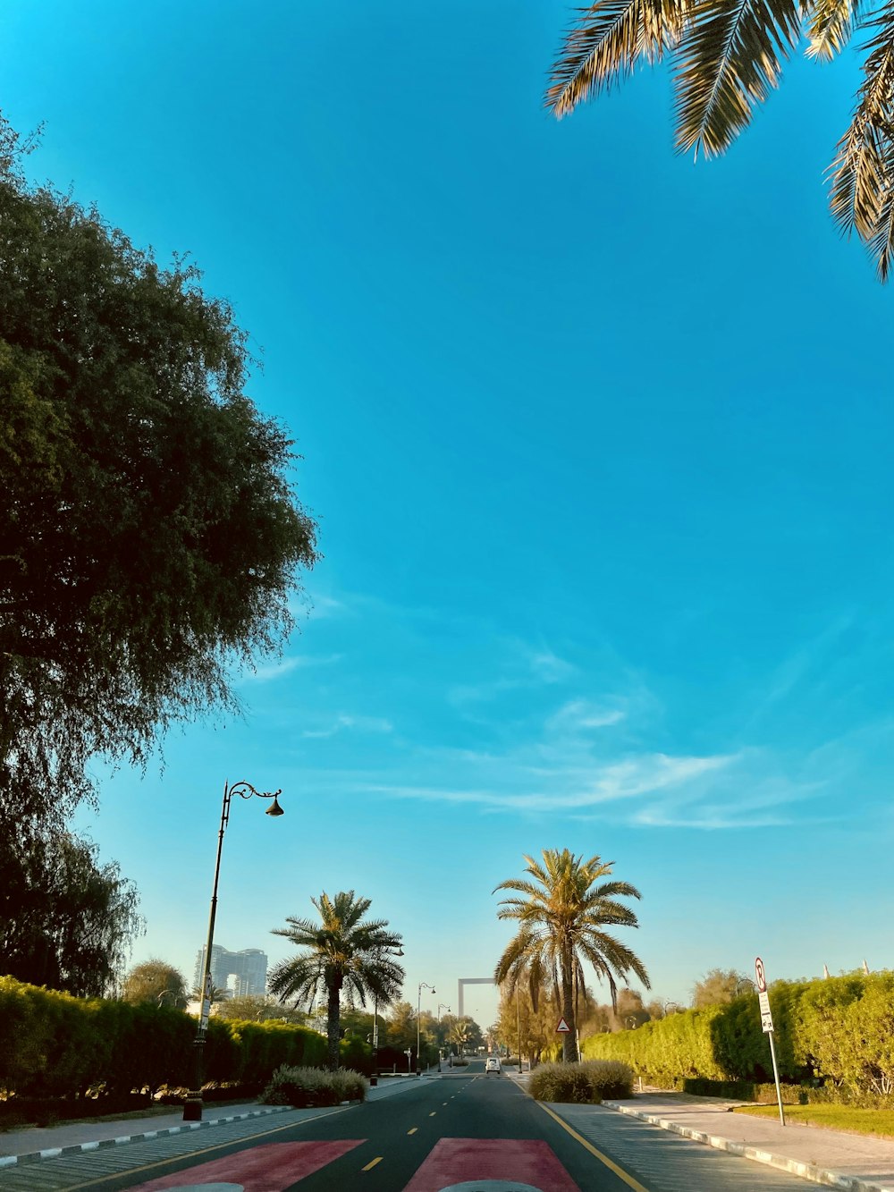 a street with palm trees and a blue sky