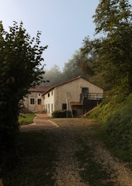 A rustic house with a light stone exterior surrounded by greenery, featuring a ladder leaning against the side of the building. The house has a red tiled roof, and a paved pathway leads up to it, flanked by a grassy yard and bushes. Tall trees are visible in the background, partially covered in mist, creating a tranquil atmosphere.