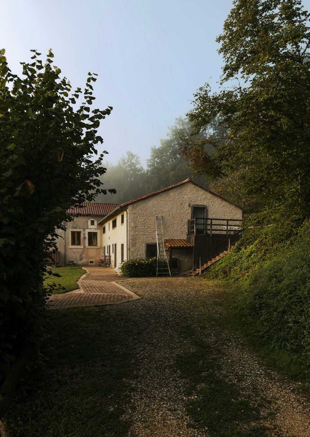 a dirt road leading to a house in the woods