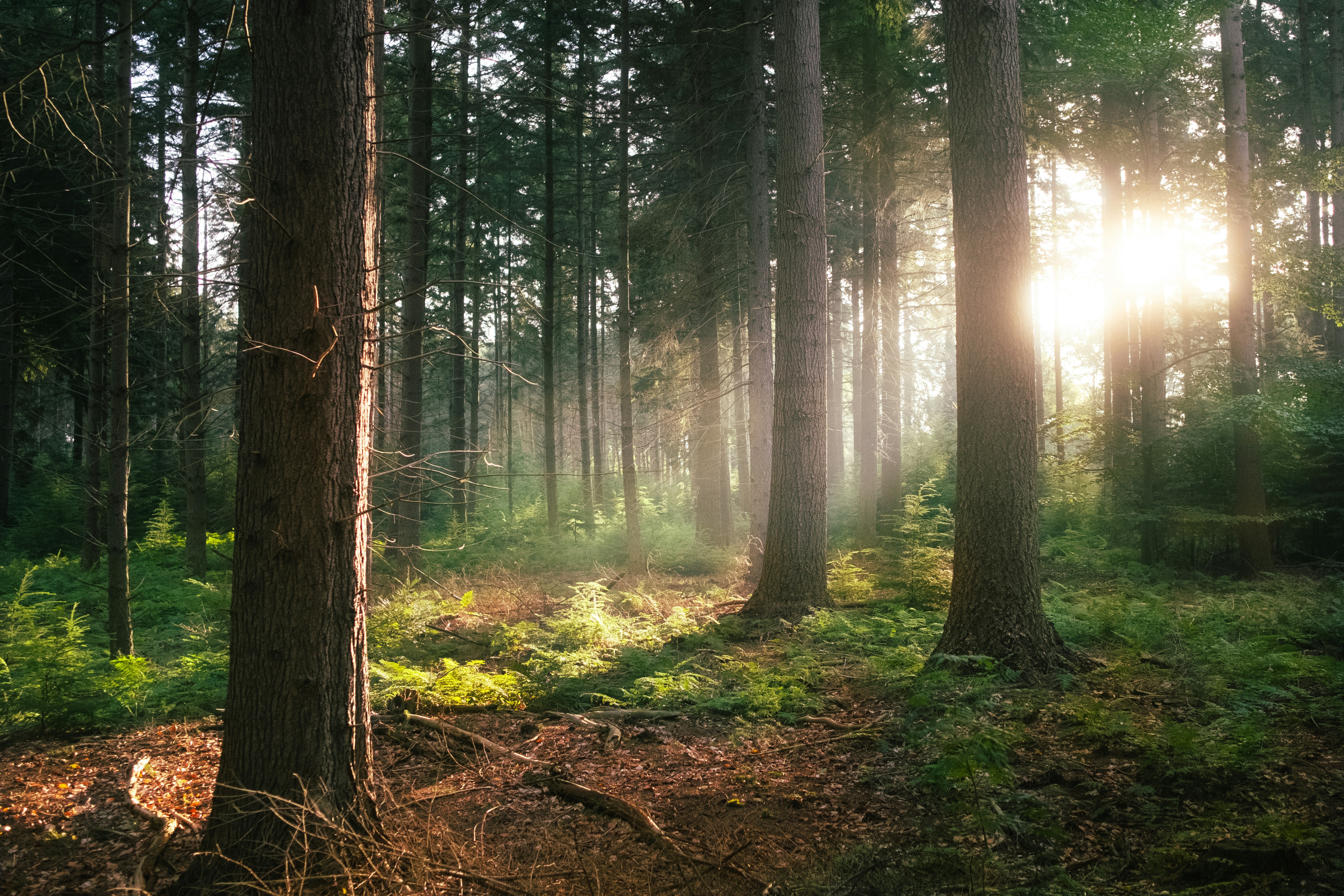 Photo by visualsbying