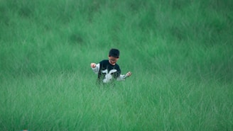 A child’s colorful shirt with a grass stain fading away thanks to Purelift’s gentle formula.