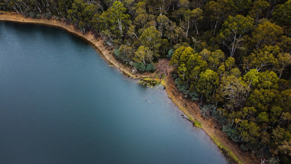 a large body of water surrounded by trees