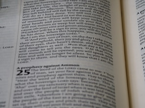 Open pages of a book in close-up showing text. The visible text includes numbered sections and is formatted with italicized and bold fonts in parts. The paper appears slightly off-white and the text is printed in black ink.