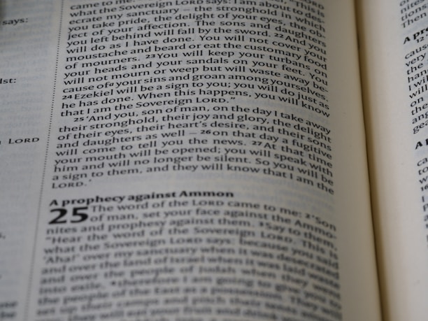 Open pages of a book in close-up showing text. The visible text includes numbered sections and is formatted with italicized and bold fonts in parts. The paper appears slightly off-white and the text is printed in black ink.