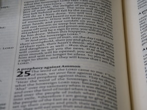 Preview of the interior pages showcasing key content.