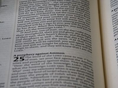 Close-up of hands flipping through a freshly printed academic journal with Arboria font visible