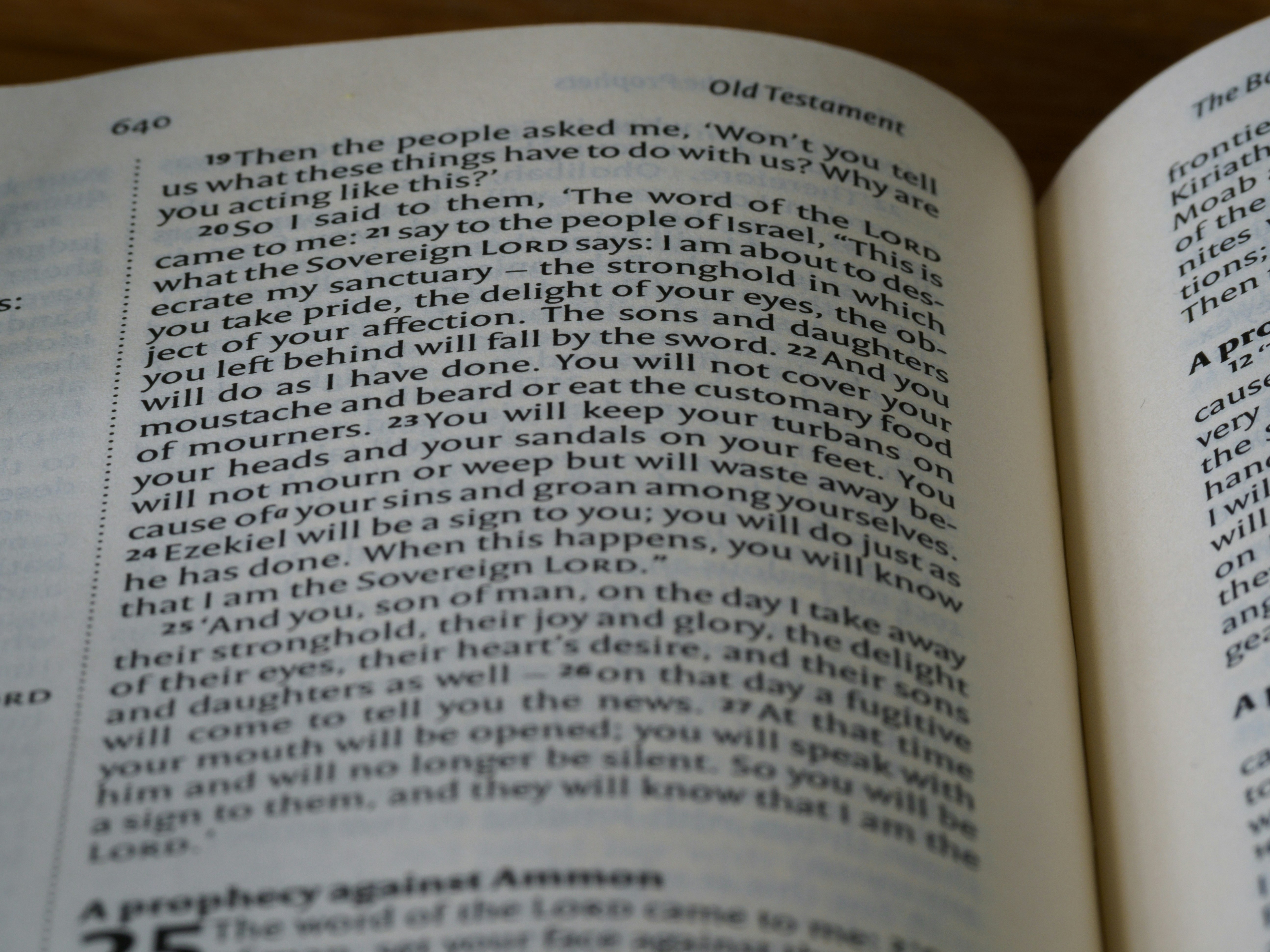 Photo by brett_jordan