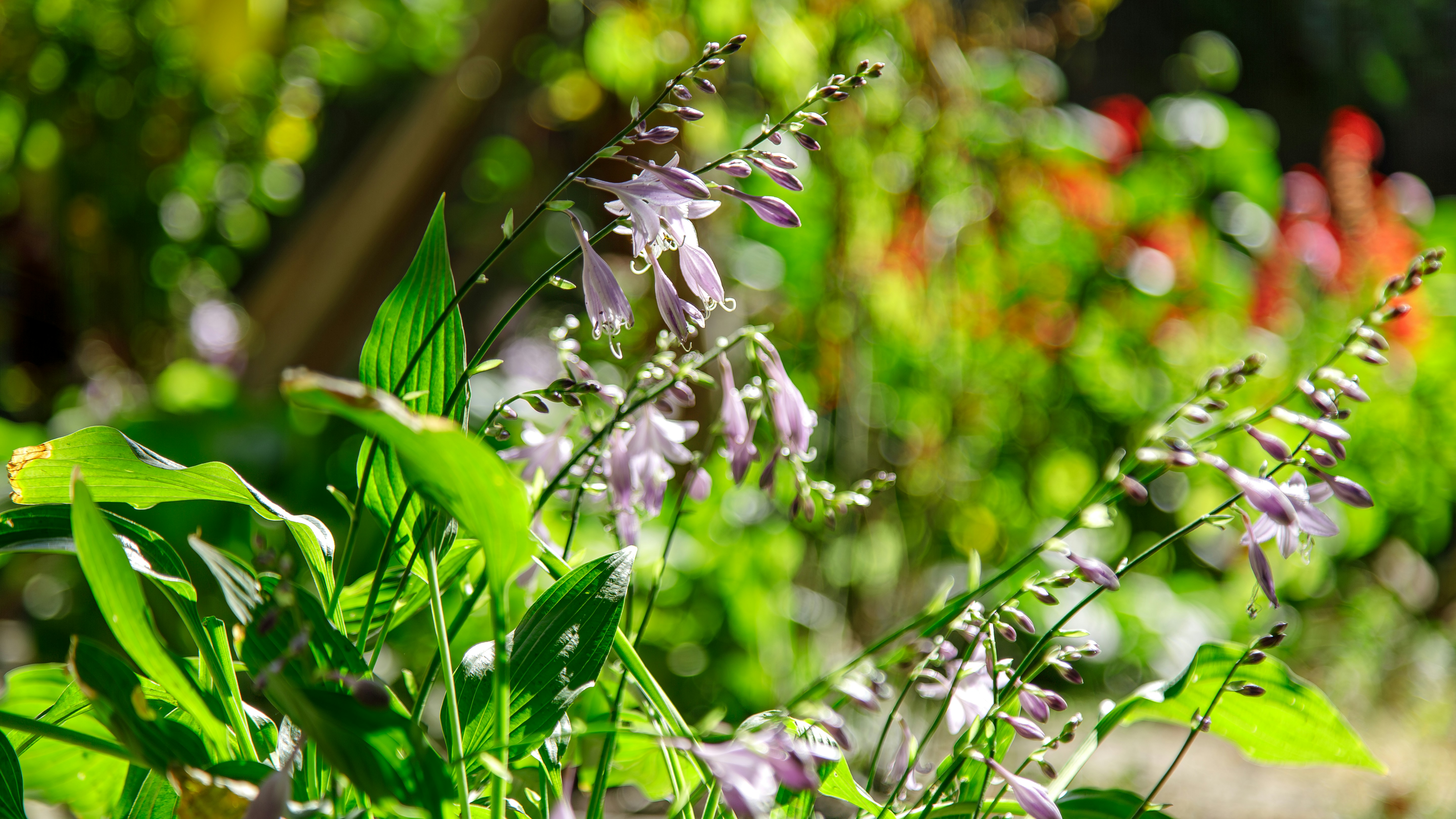 Photo by malygos6000