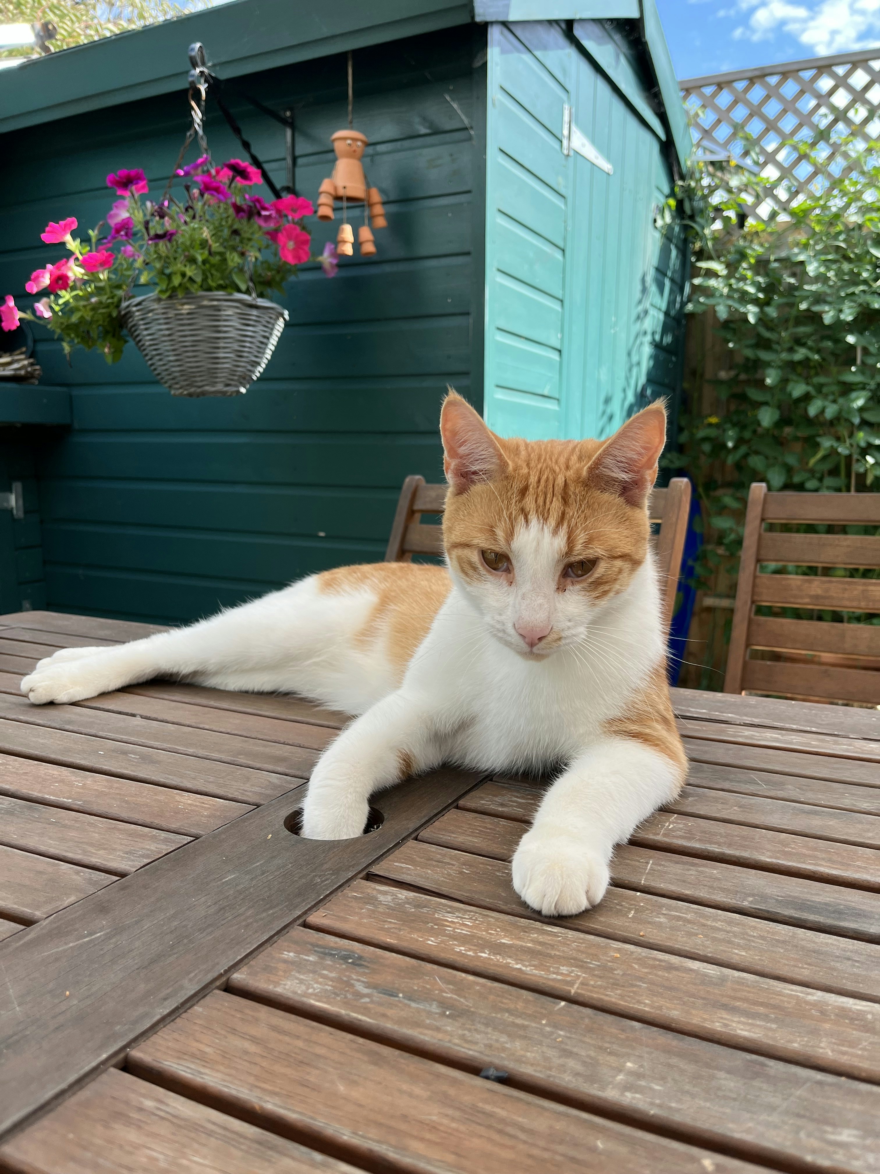 Photo by lochlanwilson