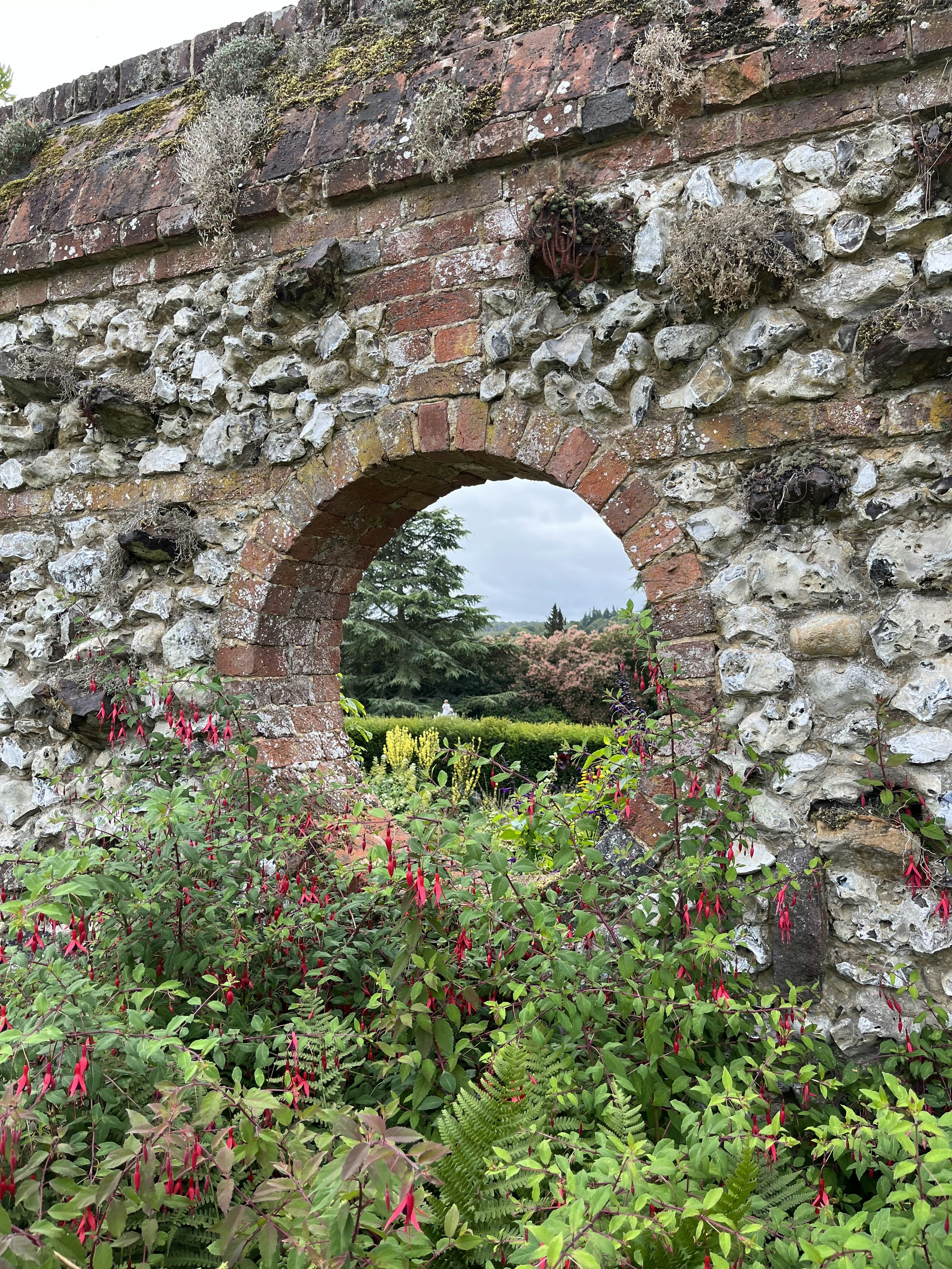 Photo by lochlanwilson