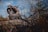 An off-road motorcycle is parked on a rocky terrain surrounded by dry branches and sparse vegetation. The bike features knobby tires and gear designed for rugged use. The sky is partly cloudy, suggesting an adventurous outdoor setting.