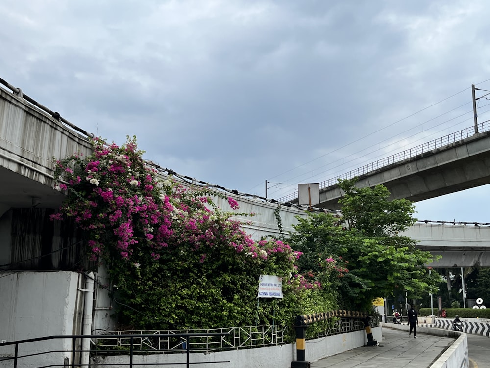 a bridge over a road with a bunch of flowers growing on it
