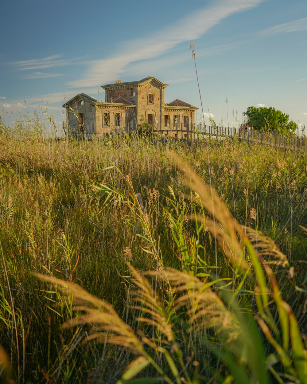 a house in the middle of a field of tall grass