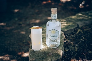 Gin Artesanal
