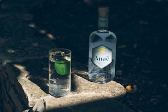 A bottle of Anaé gin sits on a stone surface outdoors, accompanied by a clear glass of gin with a green lime wedge floating in it. The scene is partially shaded, creating a relaxing and rustic atmosphere.