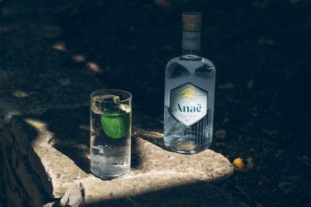 A bottle of Anaé gin sits on a stone surface outdoors, accompanied by a clear glass of gin with a green lime wedge floating in it. The scene is partially shaded, creating a relaxing and rustic atmosphere.